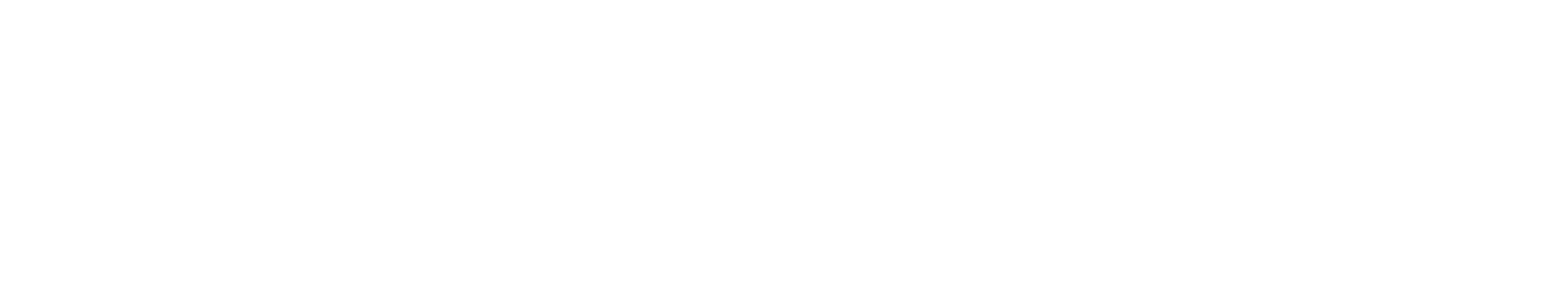 Autohop logo white